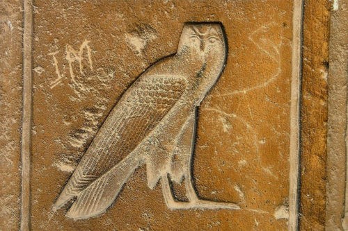 Птицы Древнего Египта в знаках и в жизни 1