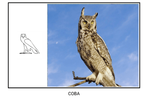 иероглиф и фото совы
